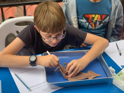 Middle and High School Math Teacher photo